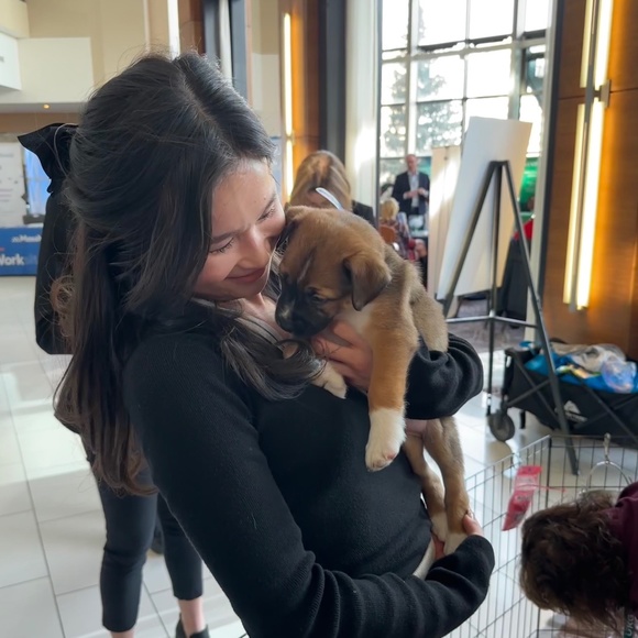 Meet your Posher, Tian - Picture 1 of 1